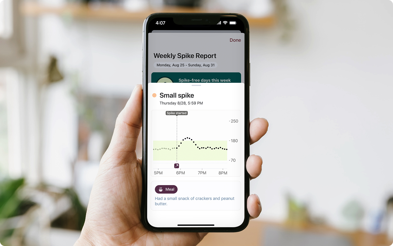 Stelo App showing a small spike in blood sugar